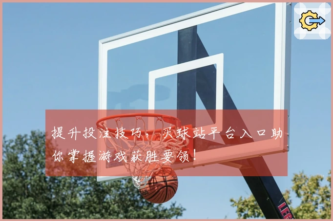提升投注技巧，买球站平台入口助你掌握游戏获胜要领！