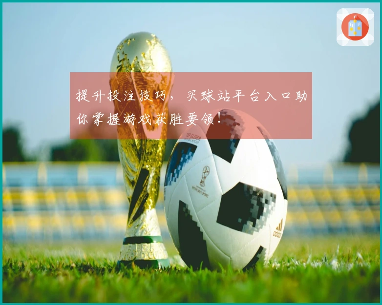 提升投注技巧，买球站平台入口助你掌握游戏获胜要领！